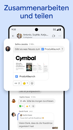 Google Chat Screenshot