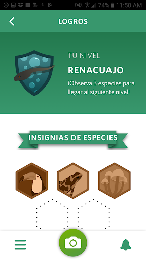 Captura de pantalla de Seek, por iNaturalist