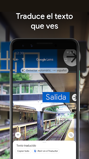 Captura de pantalla de Google Lens