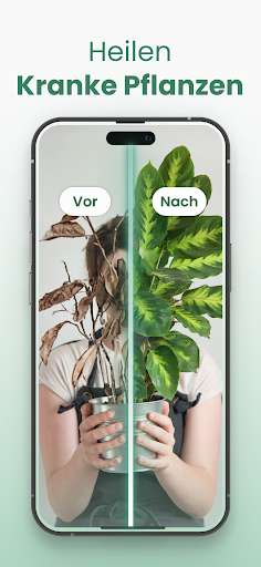 Plantify : Pflanzen Erkennen Screenshot