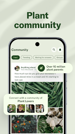 Captura de pantalla de Planta: AI Plant & Garden Care