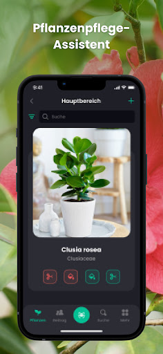 PlantIn - Pflanzen erkennen Screenshot