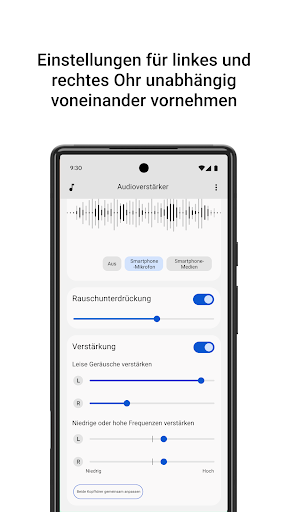 Audioverstärker Screenshot