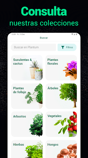 Captura de pantalla de Plantum - Identificar plantas