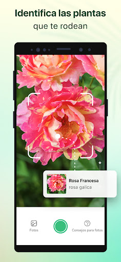 Captura de pantalla de Plant Parent - Guía de cuidado