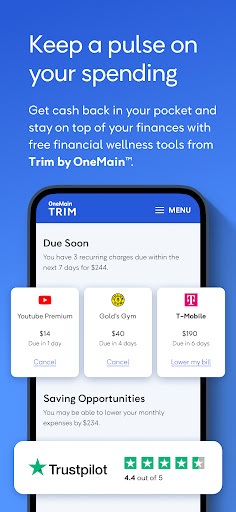 OneMain Financial screenshot