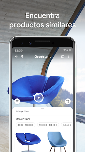 Captura de pantalla de Google Lens