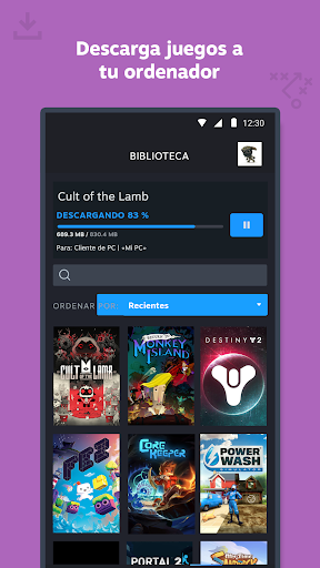 Captura de pantalla de Steam