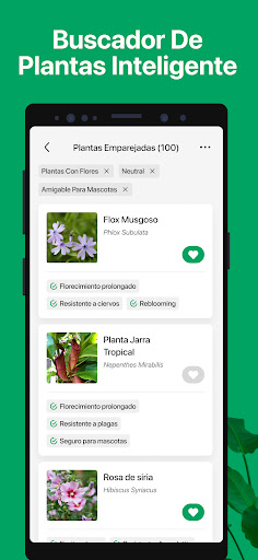 Captura de pantalla de PictureThis Identificar Planta