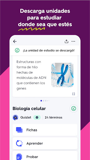 Captura de pantalla de Quizlet: fichas creadas con IA