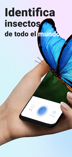 Captura de pantalla de Picture Insect - Insectos ID