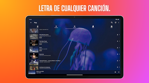 Captura de pantalla de Descargar Música MP3