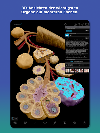 Atlas der Humananatomie 2026 Screenshot