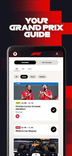 Formula 1® screenshot