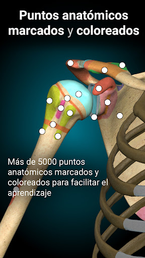 Captura de pantalla de Anatomy Learning - Anatomía 3D