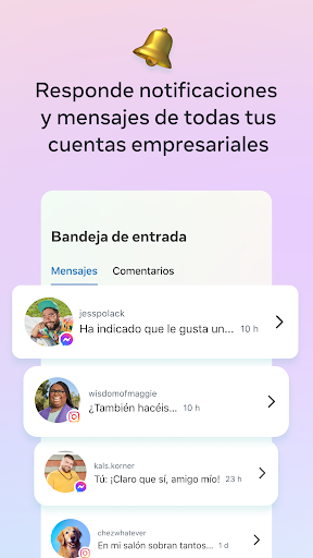 Captura de pantalla de Meta Business Suite