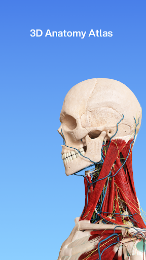 VOKA 3D Anatomy and Physiology screenshot