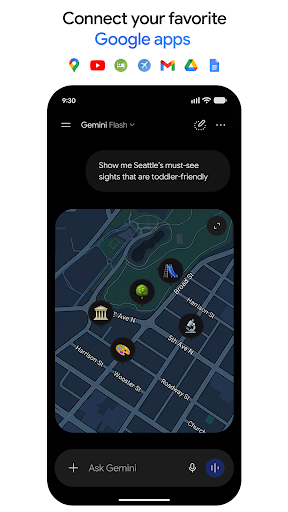 Google Gemini screenshot