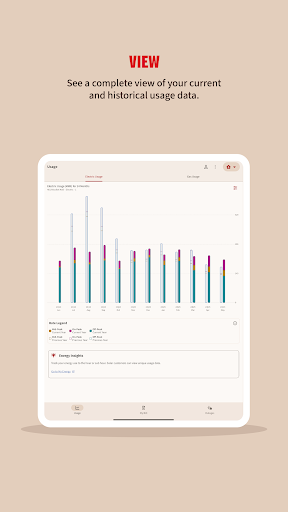 Xcel Energy screenshot