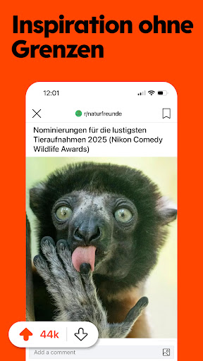 Reddit Screenshot