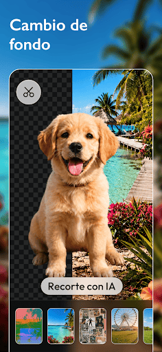 Captura de pantalla de Editor de Fotos - Polish