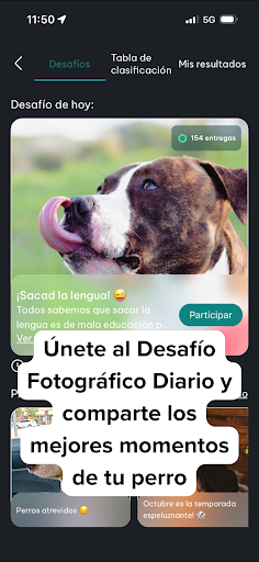 Captura de pantalla de DogPack: Parques, perros y más