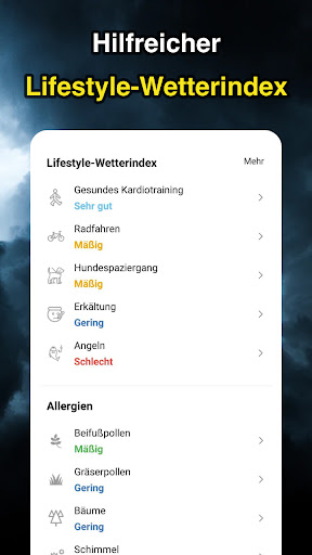 Wetteransicht Screenshot
