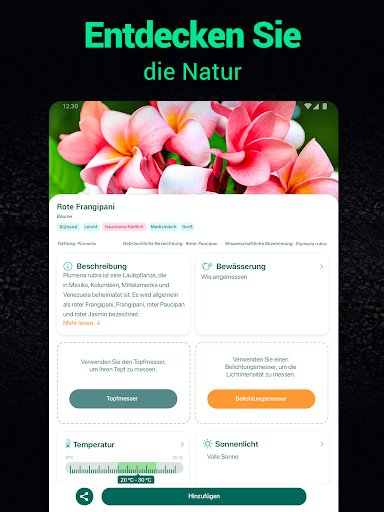 Plantum - Pflanzen bestimmen Screenshot