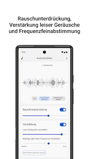 Audioverstärker Screenshot