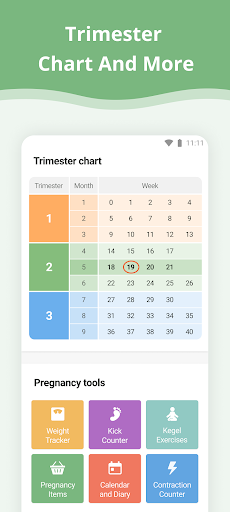 Pregnancy App screenshot