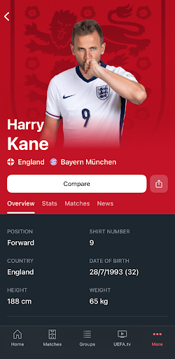 UEFA EURO & Nations League screenshot