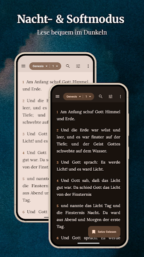 KJV Bibel - Lutherbibel Screenshot