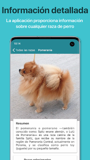 Captura de pantalla de Dog Scanner: Raza del perro