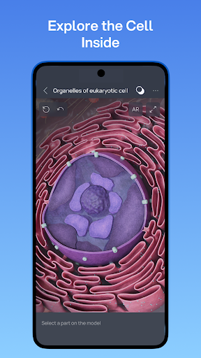 VOKA 3D Anatomy and Physiology screenshot