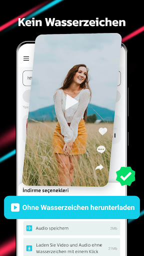 Video Downloader für TT Screenshot