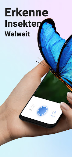 Picture Insect - Insekten ID Screenshot