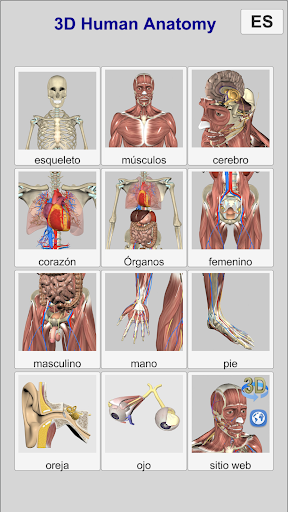 Captura de pantalla de 3D Anatomy