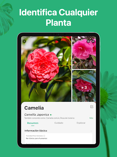 Captura de pantalla de PictureThis Identificar Planta