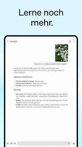 ChatGPT Screenshot