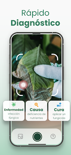 Captura de pantalla de Plantify Identificador Plantas