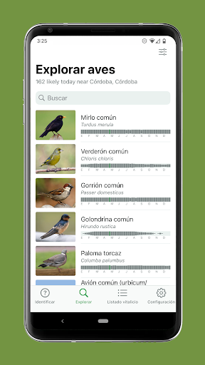 Captura de pantalla de Merlin Bird ID de Cornell Lab