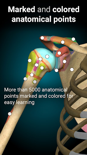 Anatomy Learning By Dr. Blanco screenshot
