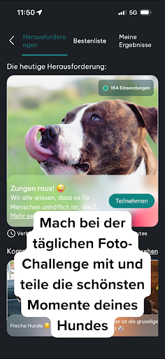 DogPack: Hundefreundliche Orte Screenshot
