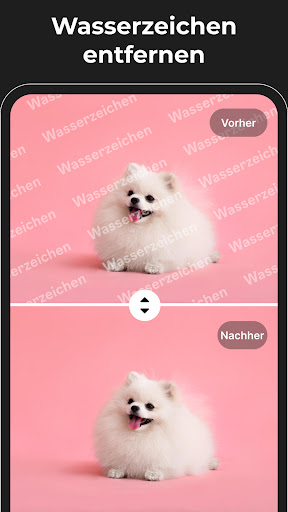 Magic Eraser Objekte Entfernen Screenshot