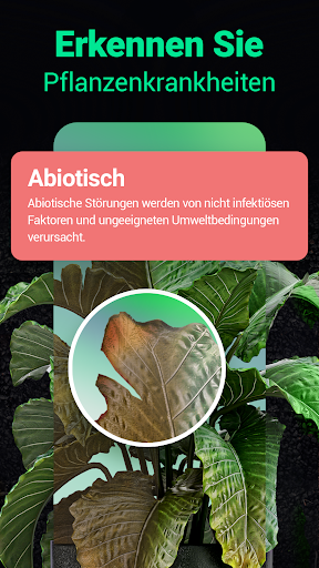 Plantum - Pflanzen bestimmen Screenshot