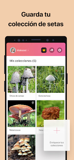 Captura de pantalla de Picture Mushroom: Champiñón ID