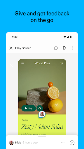 Figma: view. comment. mirror. screenshot
