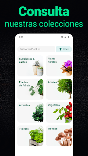 Captura de pantalla de Plantum - Identificar plantas