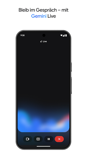 Google Gemini Screenshot