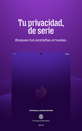 Captura de pantalla de Firefox: navegador privado